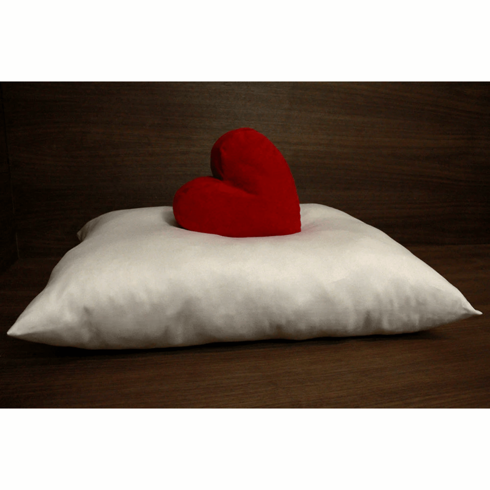 Soaring Heart Organic Shredded Latex Pillow Standard Queen Size 20" x 26" - POWER FIT SHOP — Powering Preparedness, Health & Home