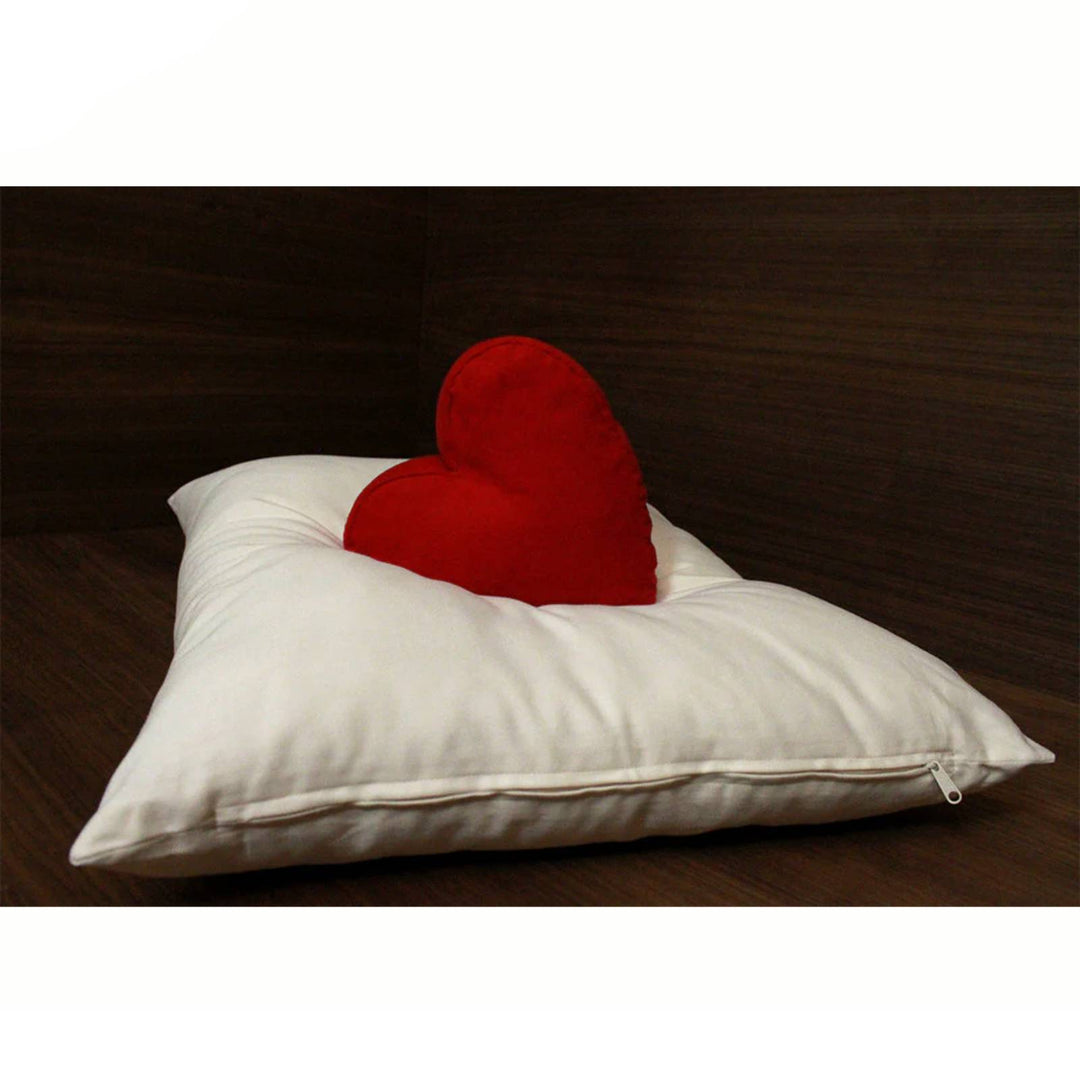 Soaring Heart soft organic wool pillow in king size, natural comfort, 20" x 36", showcasing plush, cozy wool material.