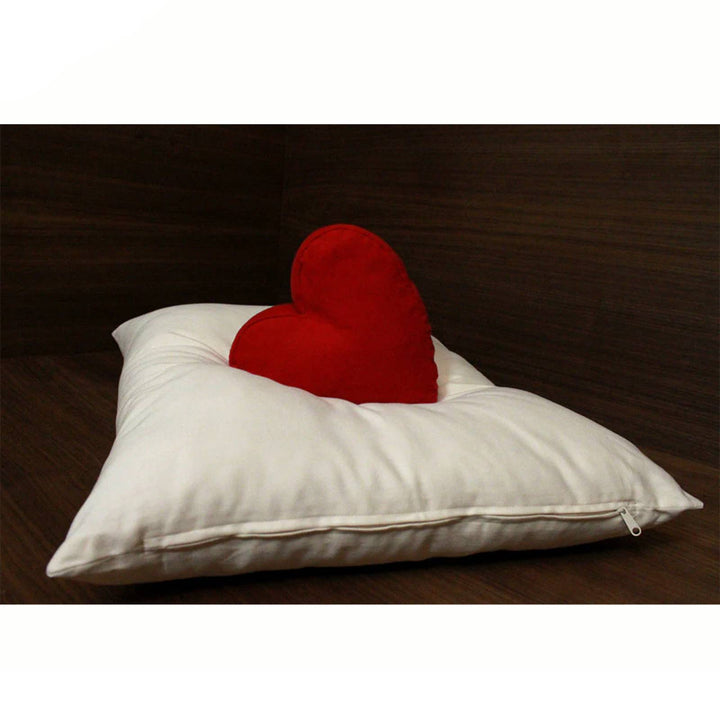 Soft organic wool pillow by Soaring Heart, standard size 20" x 26", natural comfort and plush texture for restful sleep.