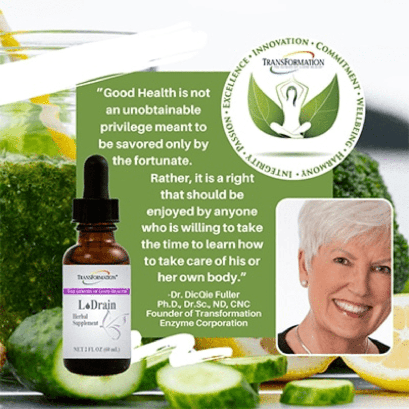 Transformation Enzymes L Drain herbal drops in a 2 oz bottle, supporting lymphatic and digestive health.