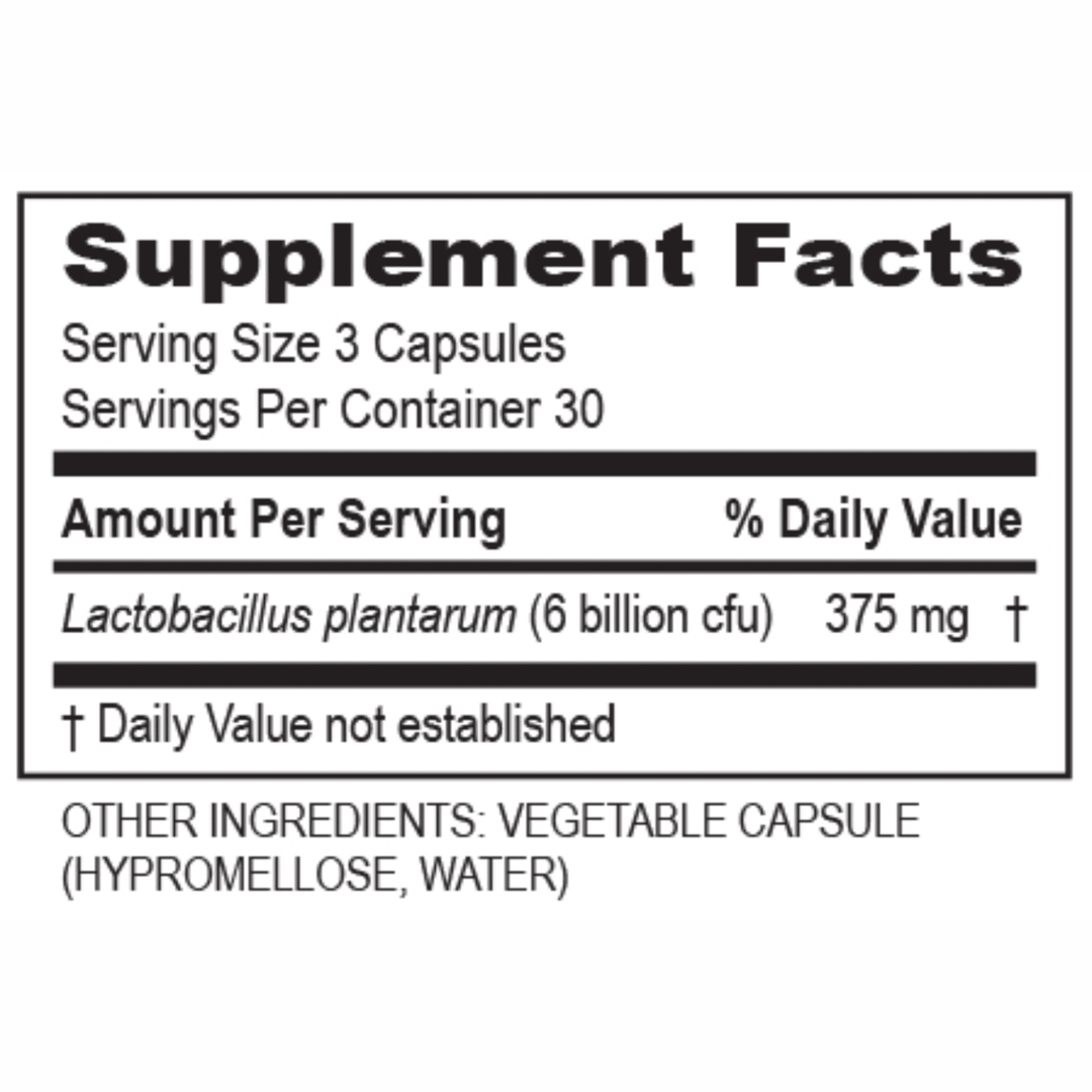 Transformation Enzymes Plantadophilus Digestive Balance 90 capsules for digestive health support, with probiotic and enzyme blend.
