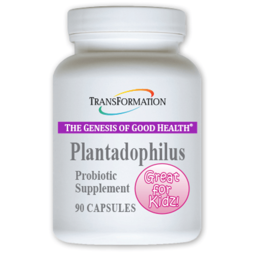 Transformation Enzymes supplement bundle including DigestZyme, PureZyme, Plantadophilus, and CalmZyme for digestive health.