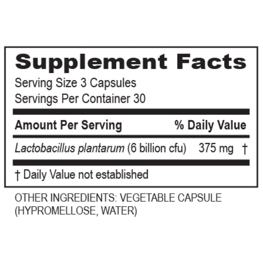 Transformation Enzymes supplement bundle featuring DigestZyme, PureZyme, Plantadophilus, and CalmZyme for digestive health.