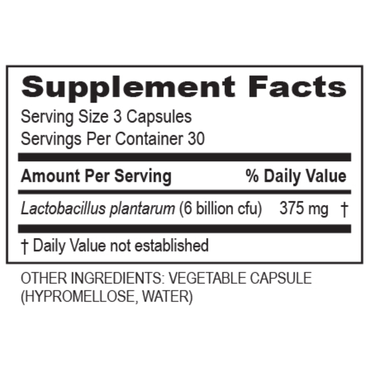 Transformation Enzymes supplement bundle featuring DigestZyme, PureZyme, Plantadophilus, and CalmZyme for digestive health.