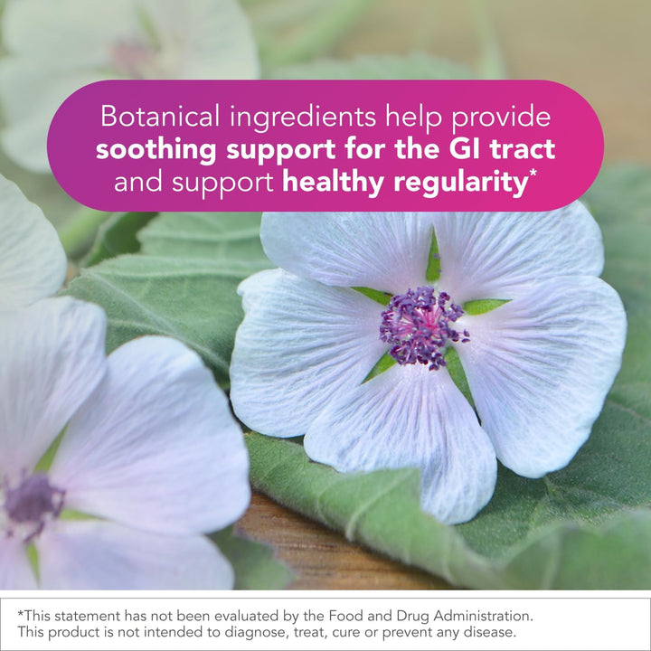 Biocidin Botanical Formulas ProFlora 4R Digestive Balance Gut Support 30 Caps - POWER FIT SHOP — Powering Preparedness, Health &amp; Home