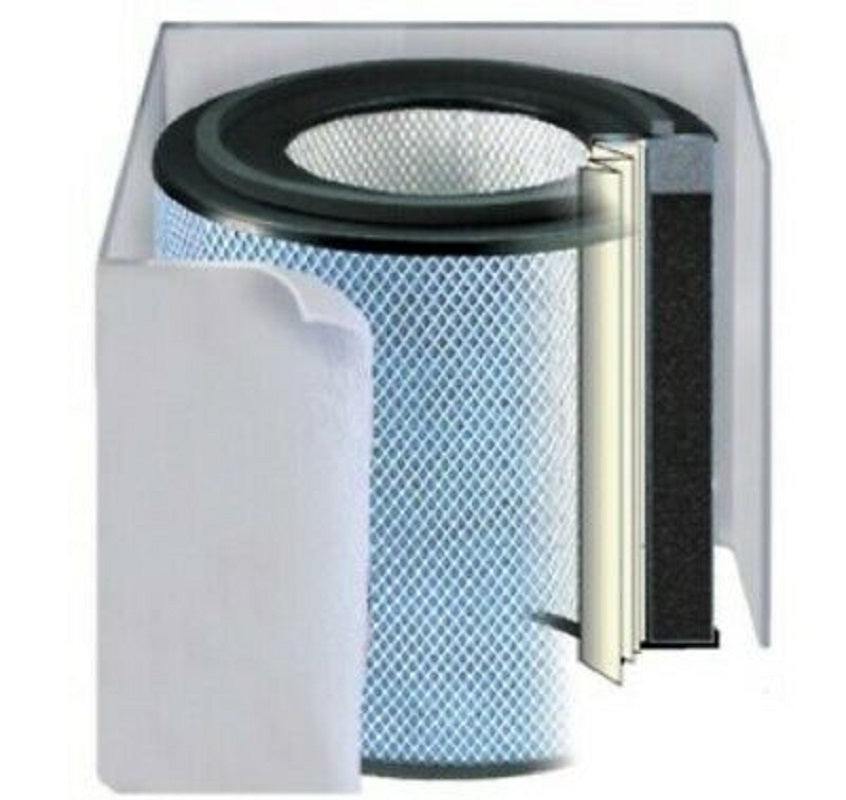 Austin Air Replacement Filter Healthmate Standard HEPA FR400B White inside view showing filter design and materials.