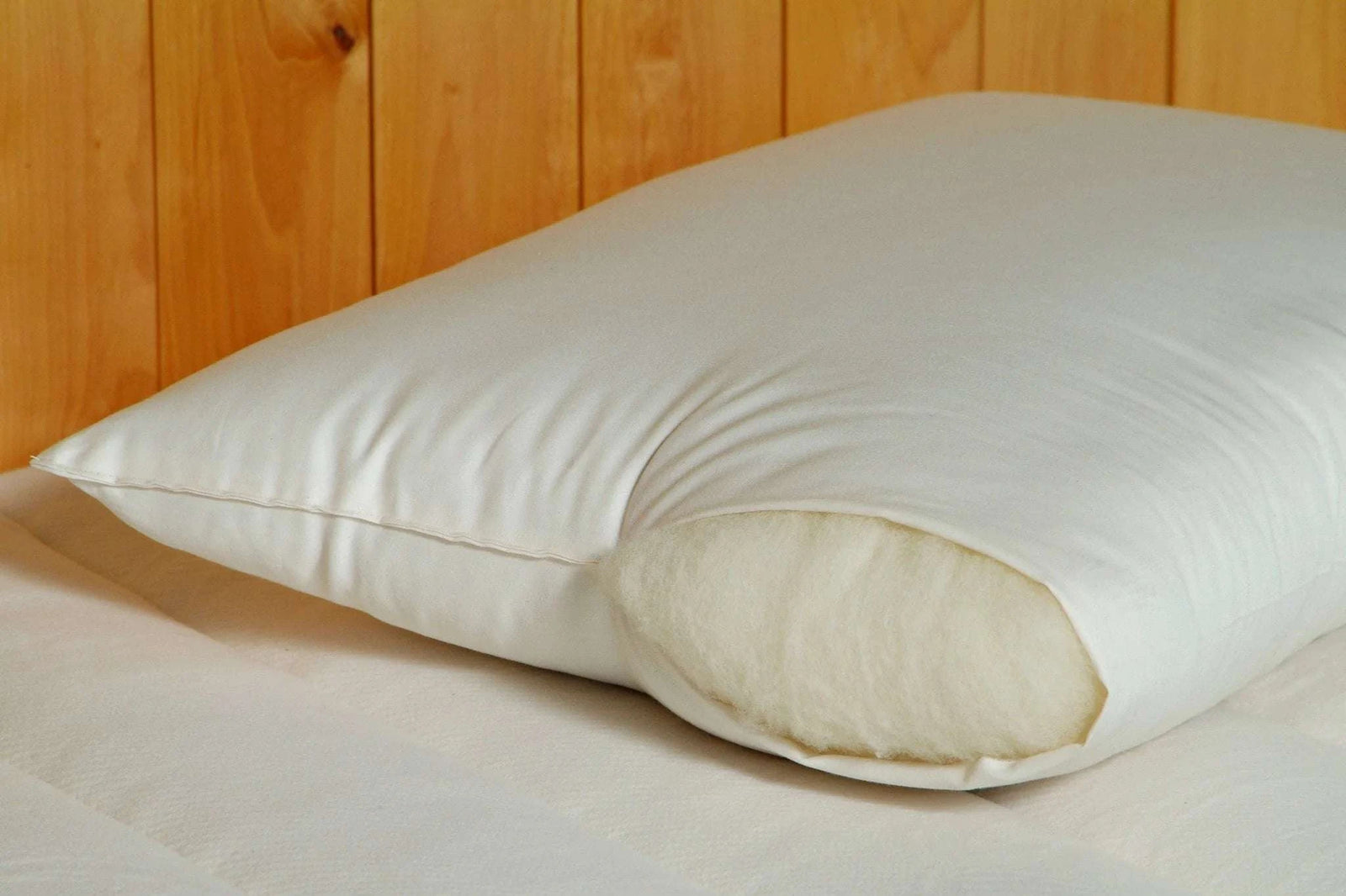 Holy Lamb Organics wool-filled standard size bed pillow with light comfort, 20x25 inches, showing plush fabric and cozy appearance.