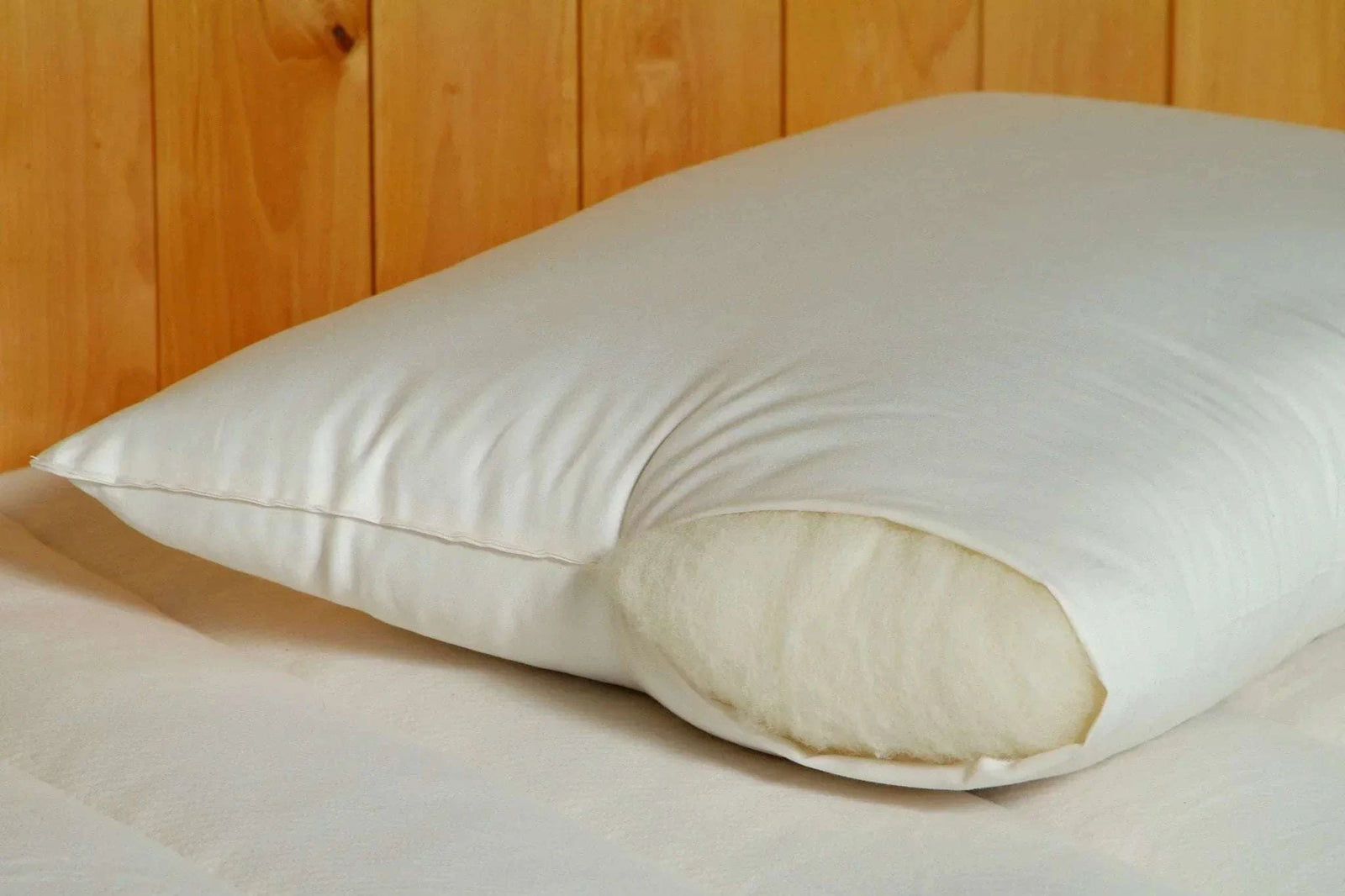 Holy Lamb Organics Bed Pillow Wool - Filled Regular Fill Queen 20" x 30" - POWER FIT SHOP — Powering Preparedness, Health & Home